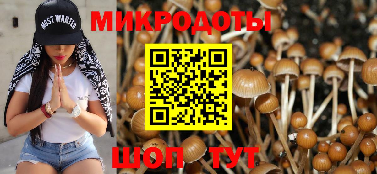 Галлюциногенные грибы Magic Shrooms  Вход с VPN  Псилоцибиновые грибы GOLDEN TEACHER  Лысьва 